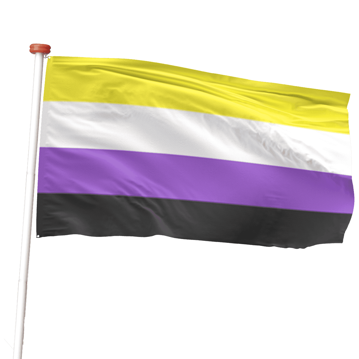 Non-Binary Pride vlag