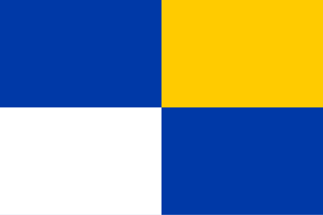 gemeentevlag winterwijk