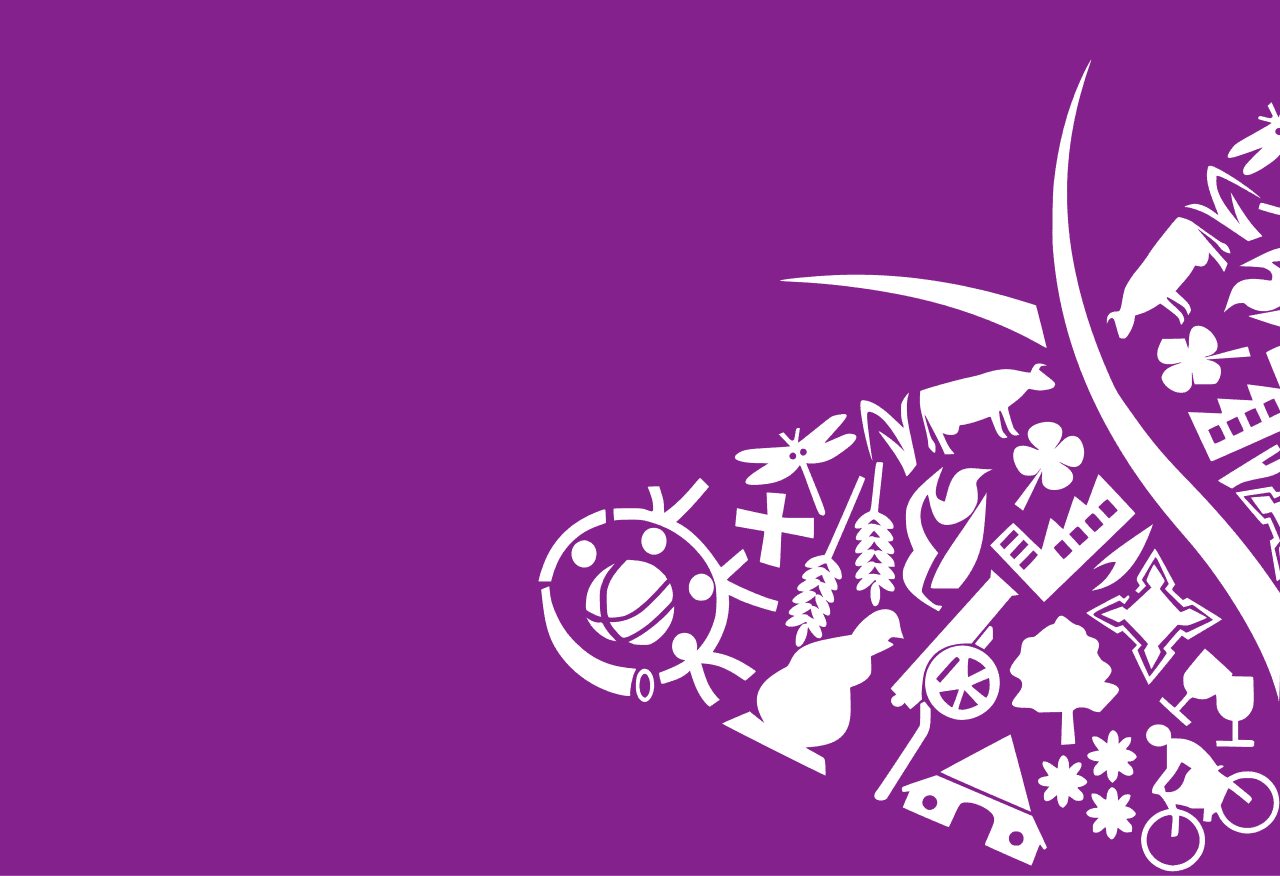 gemeentevlag oost Gelre