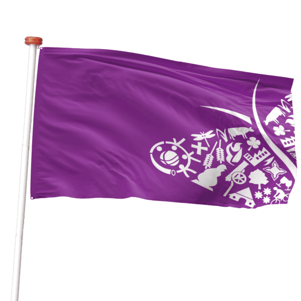 gemeentevlag oost Gelre