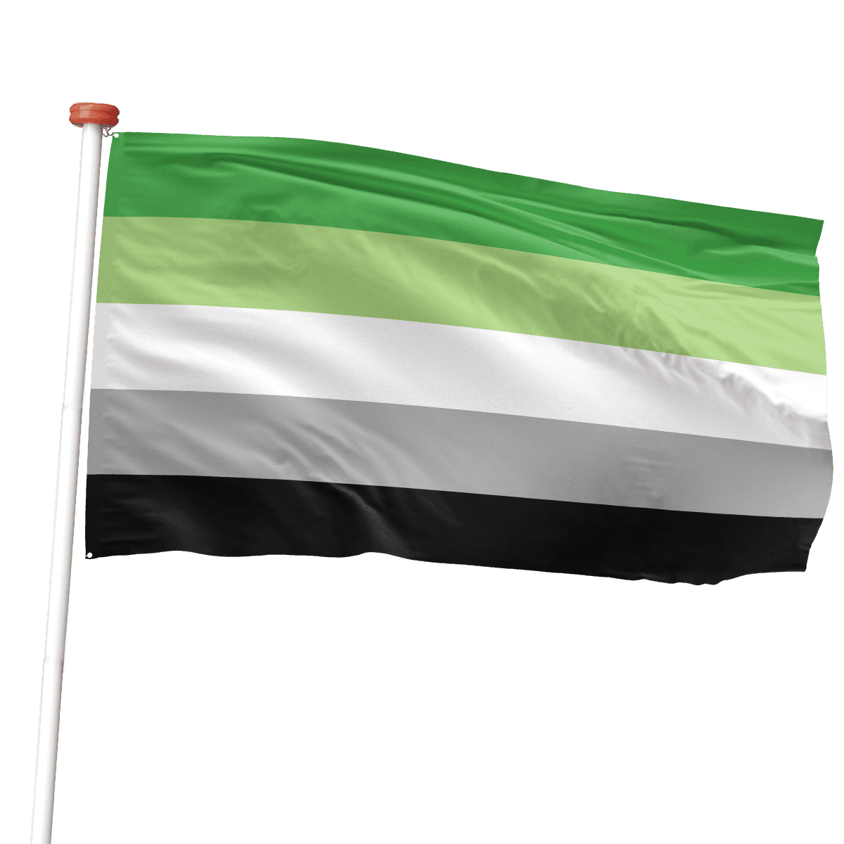 aromantische vlag