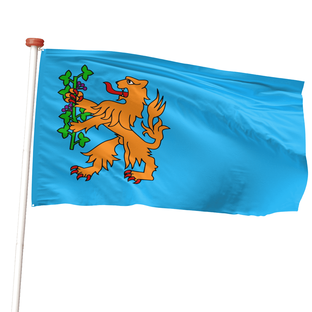 gemeentevlag Brummen