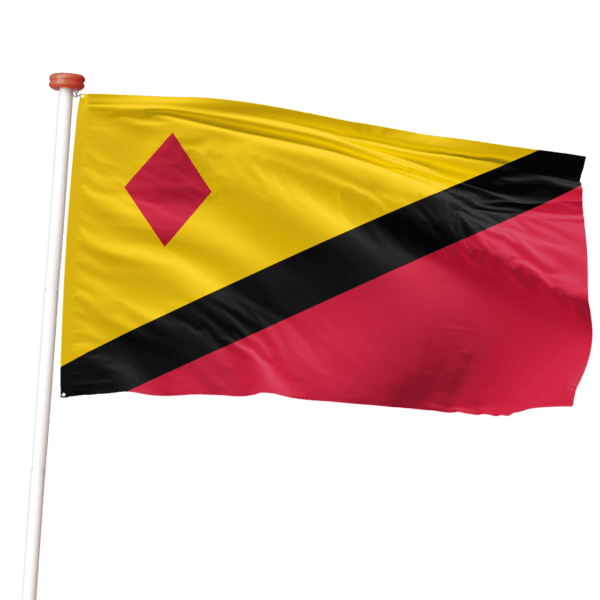 gemeentevlag van stein