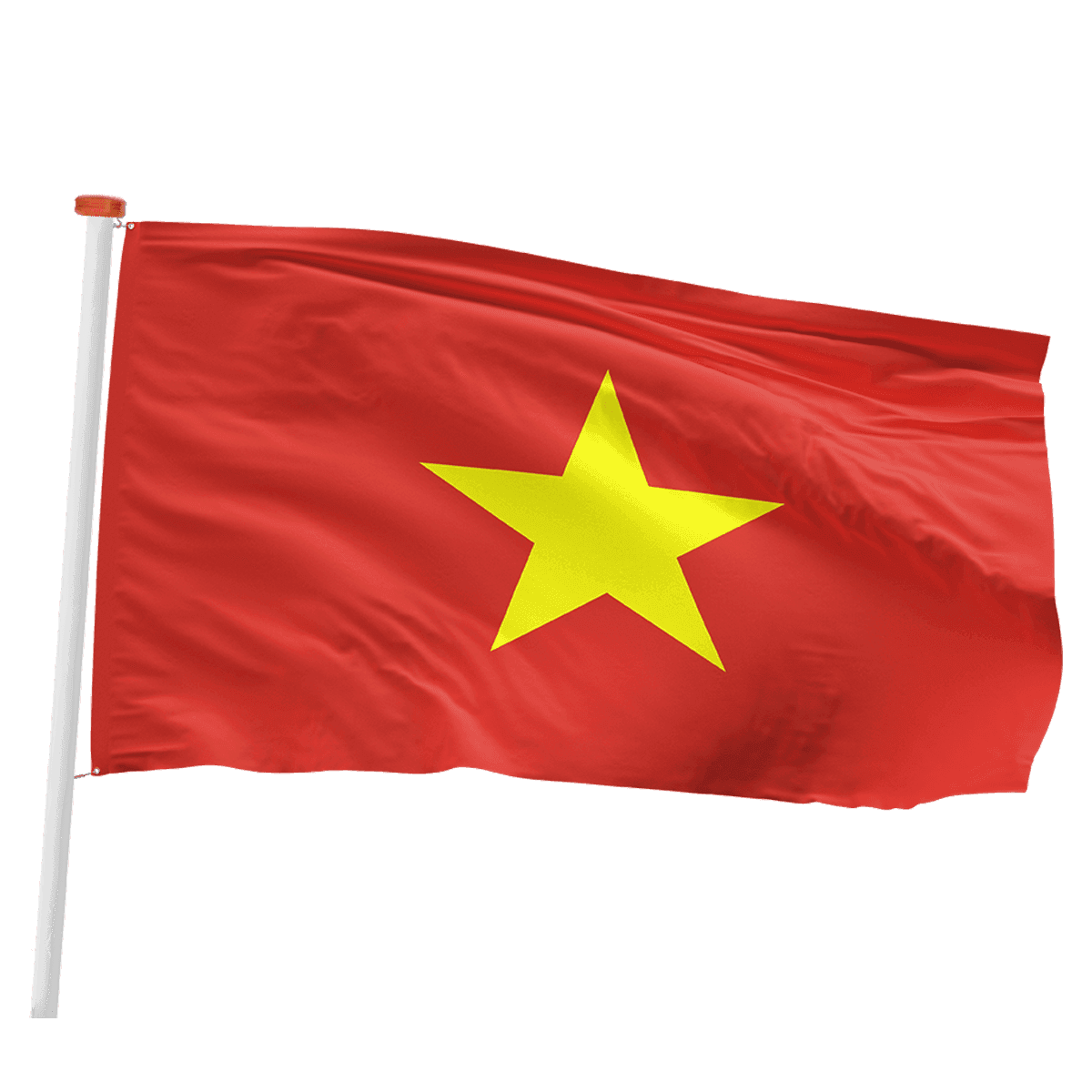 Vietnamese vlag (Vietnam)