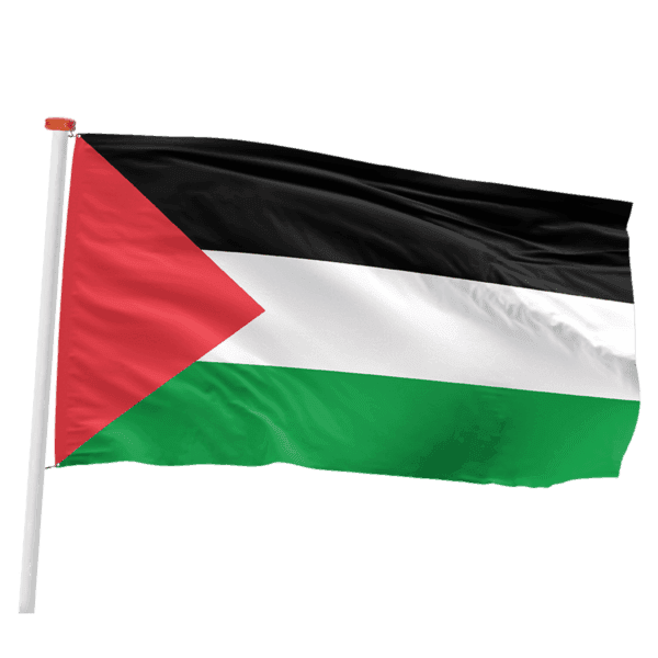Palestijnse vlag (Palestina)