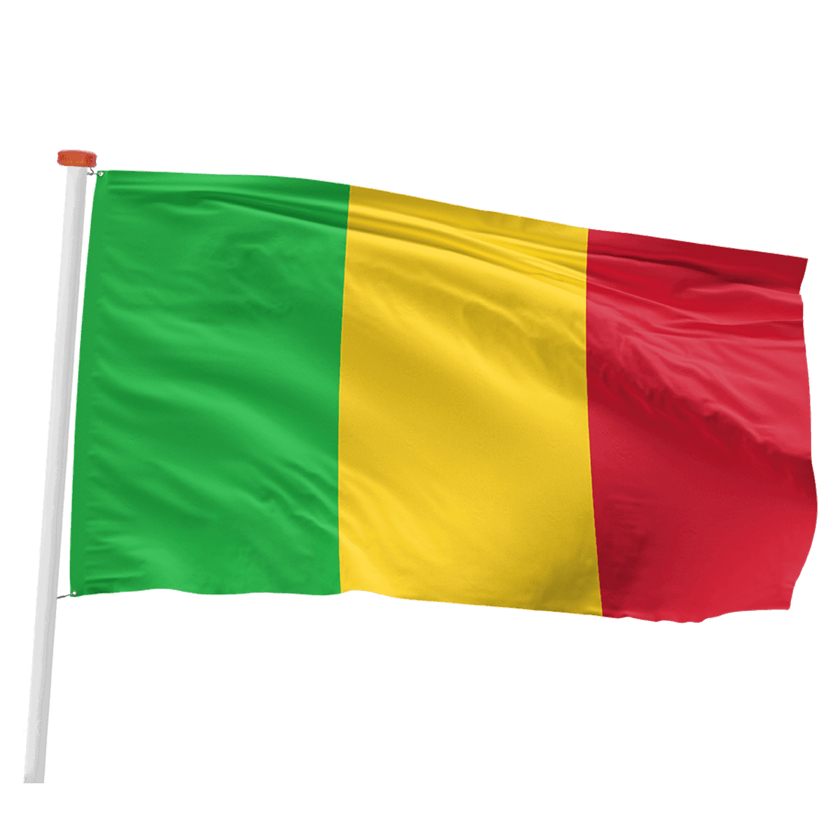 Malinese vlag (Mali)