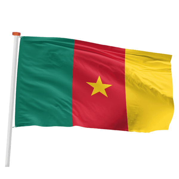 Kameroense vlag (Kameroen)