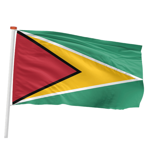 Guyaanse vlag (Guyana)