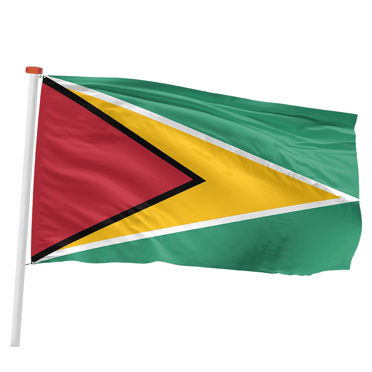 Guyaanse vlag (Guyana)