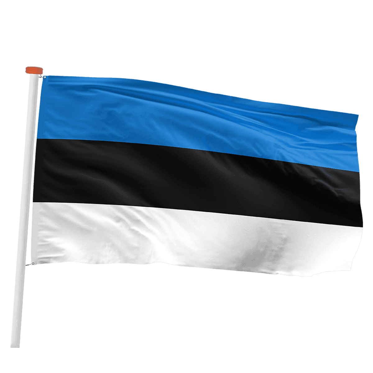 Estse vlag (Estland)