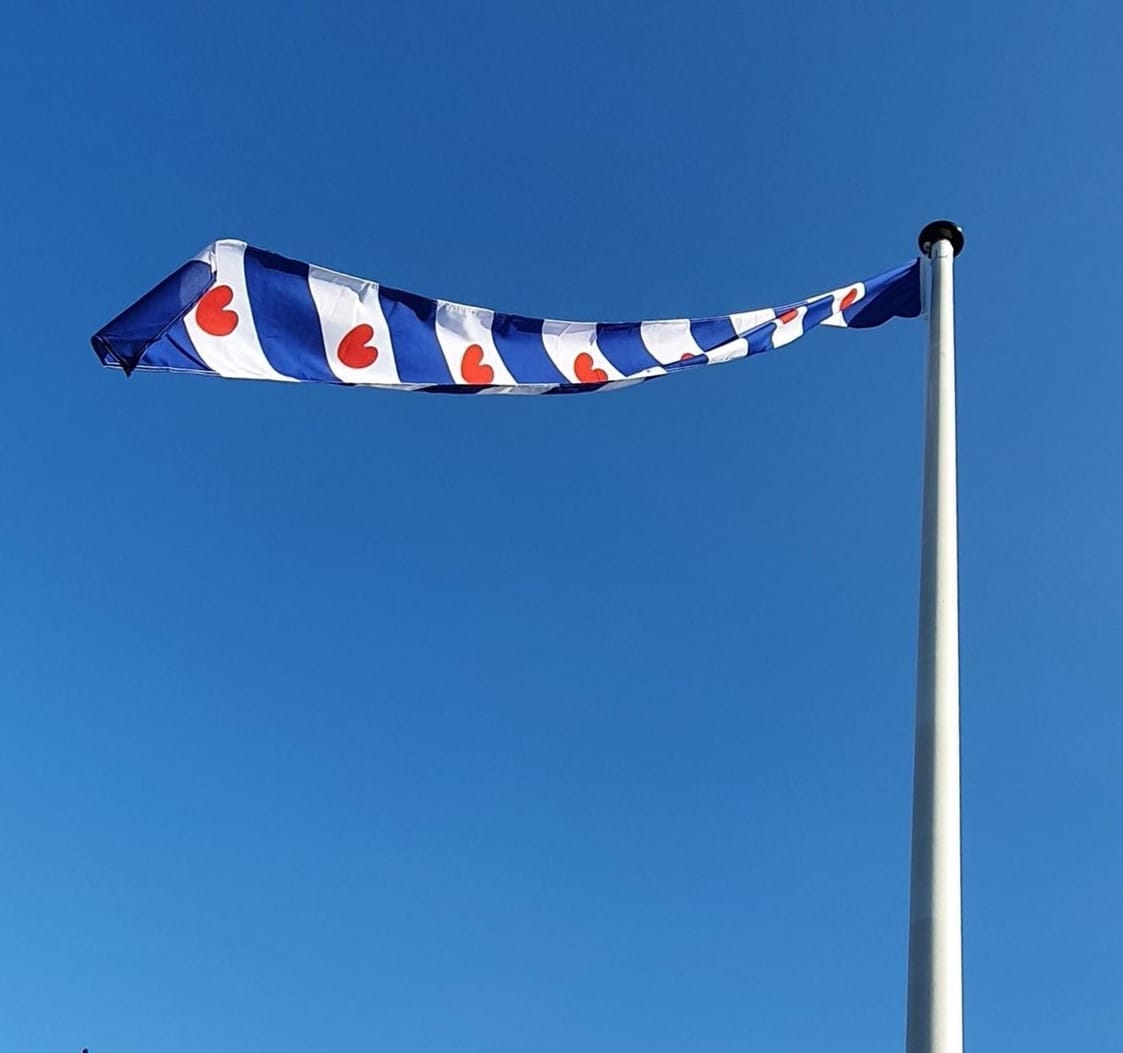 Provincie wimpel Friesland